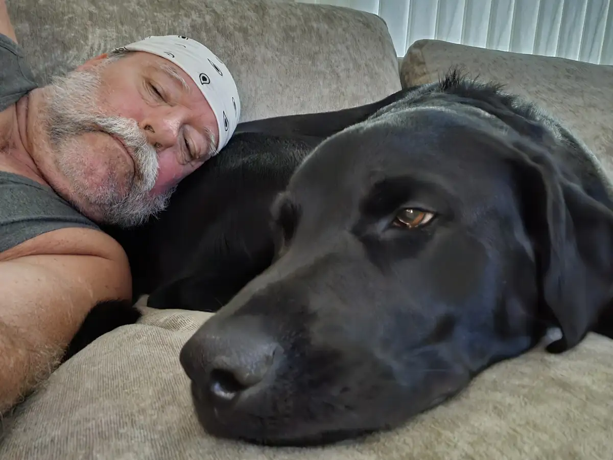 A man with a white bandana and gray beard sleeps soundly on a couch, his head resting on a large black dog. The dog, likely…