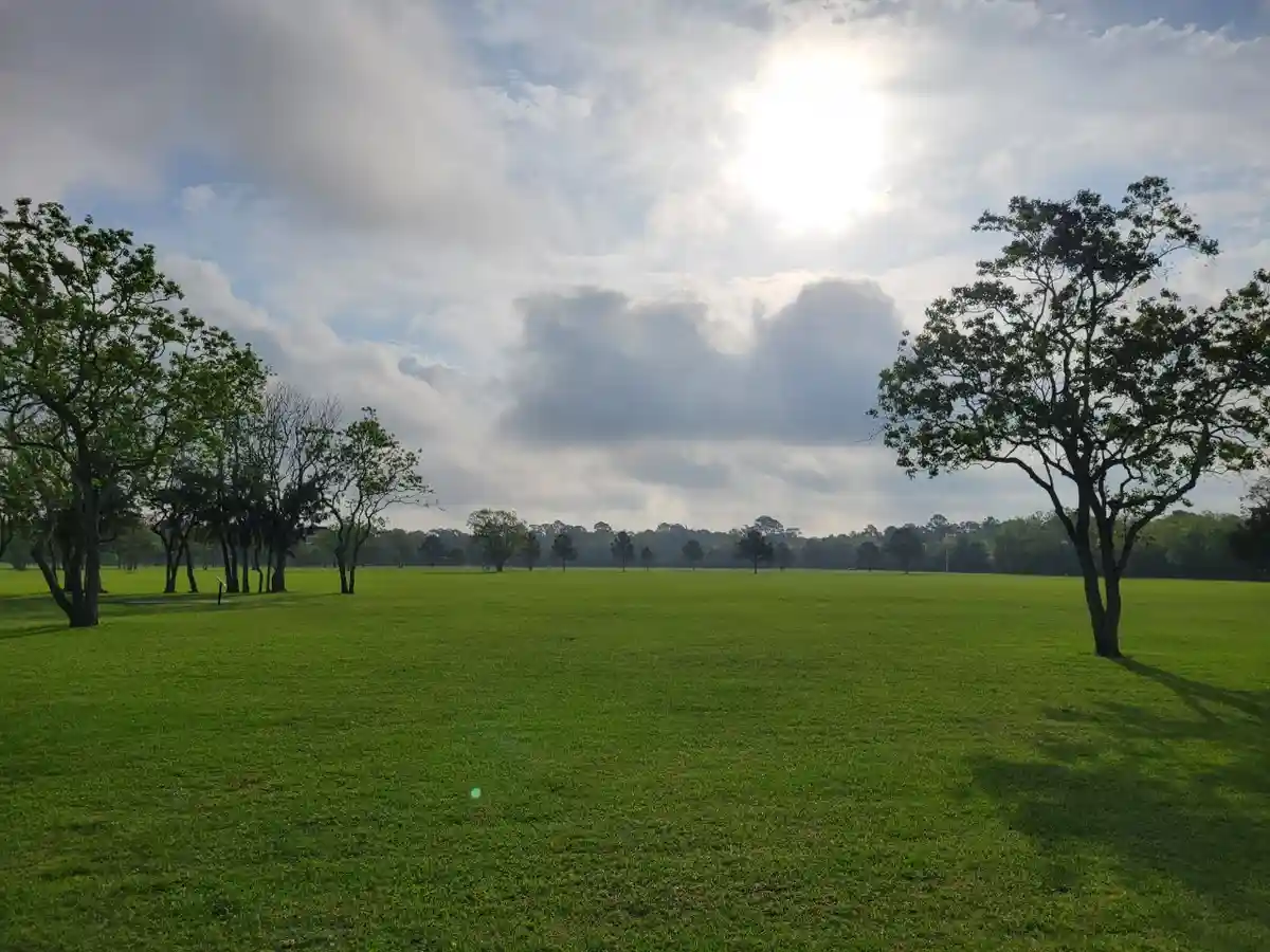 A wide, serene green field with scattered trees under a partly cloudy sky with the sun shining through. The overlaid text…
