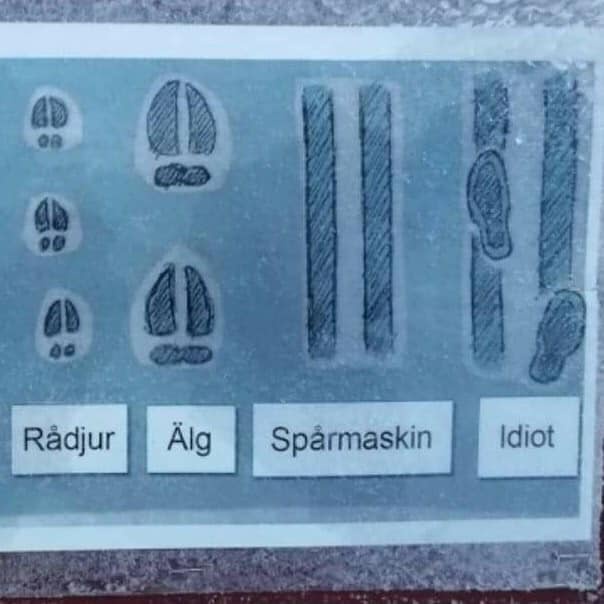An image of a trail identification sign showing four categories of footprints: 'Rådjur' (boar), 'Älg' (deer), 'Spårmaskin'…