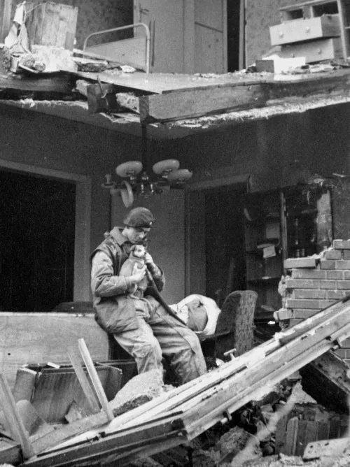 A black-and-white photo shows a soldier in a destroyed building, holding a small dog while looking down at another person…