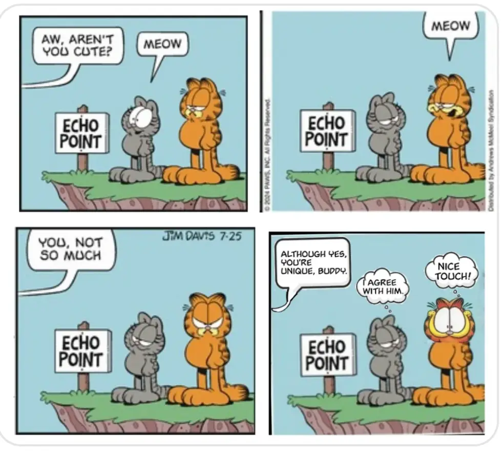 A four-panel comic strip featuring Garfield and a smaller grey cat at an 'ECHO POINT' sign. The grey cat asks if Garfield is…