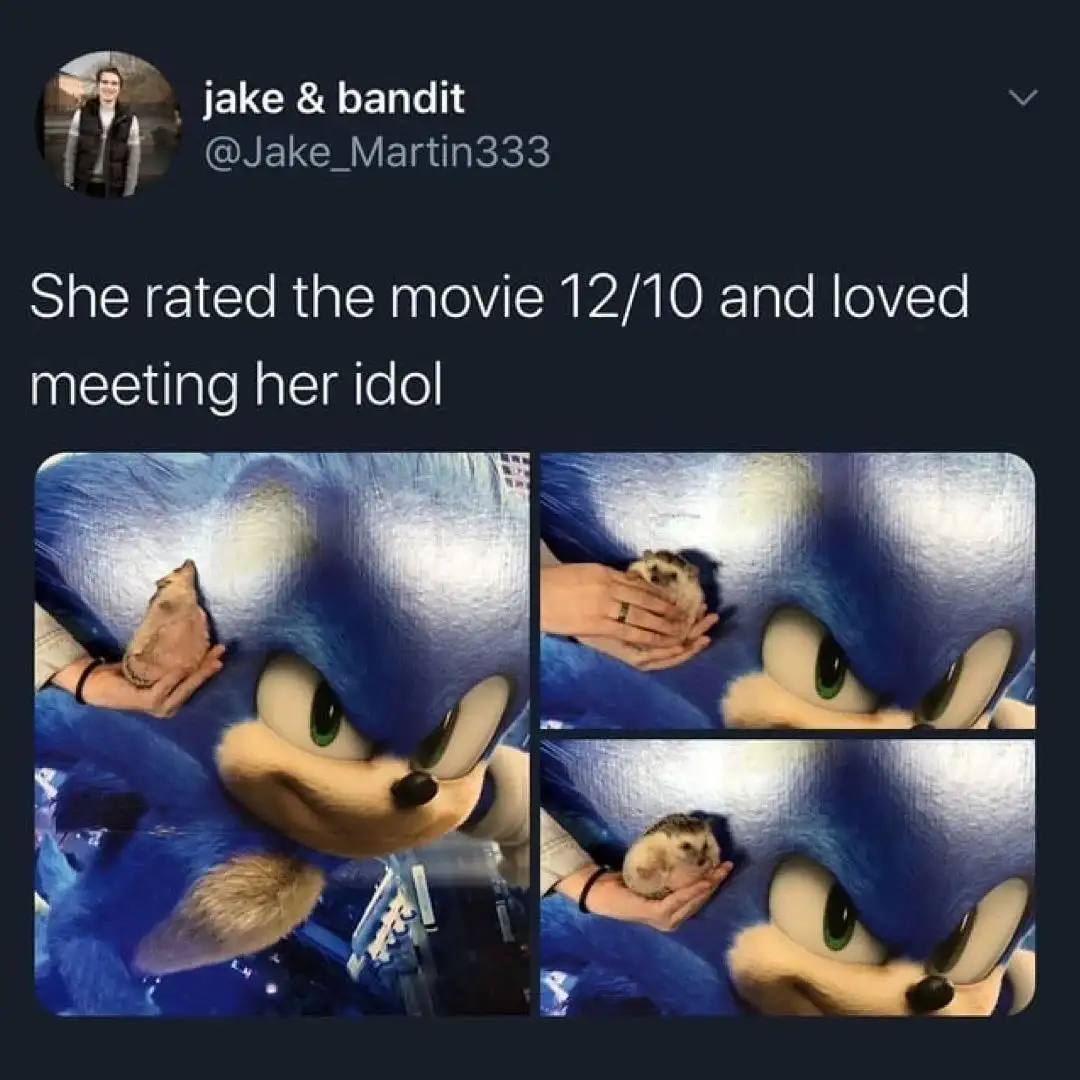 A three-panel image shows a person in a Sonic the Hedgehog costume holding a small hedgehog. The top panel shows the…