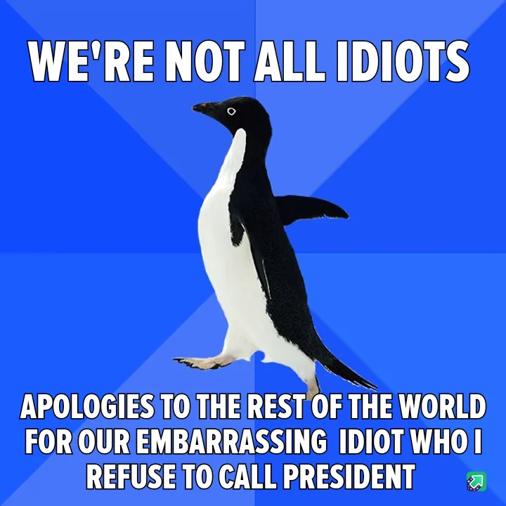 A black-and-white penguin stands against a blue background with bold white text. The top text reads 'WE'RE NOT ALL IDIOTS'…