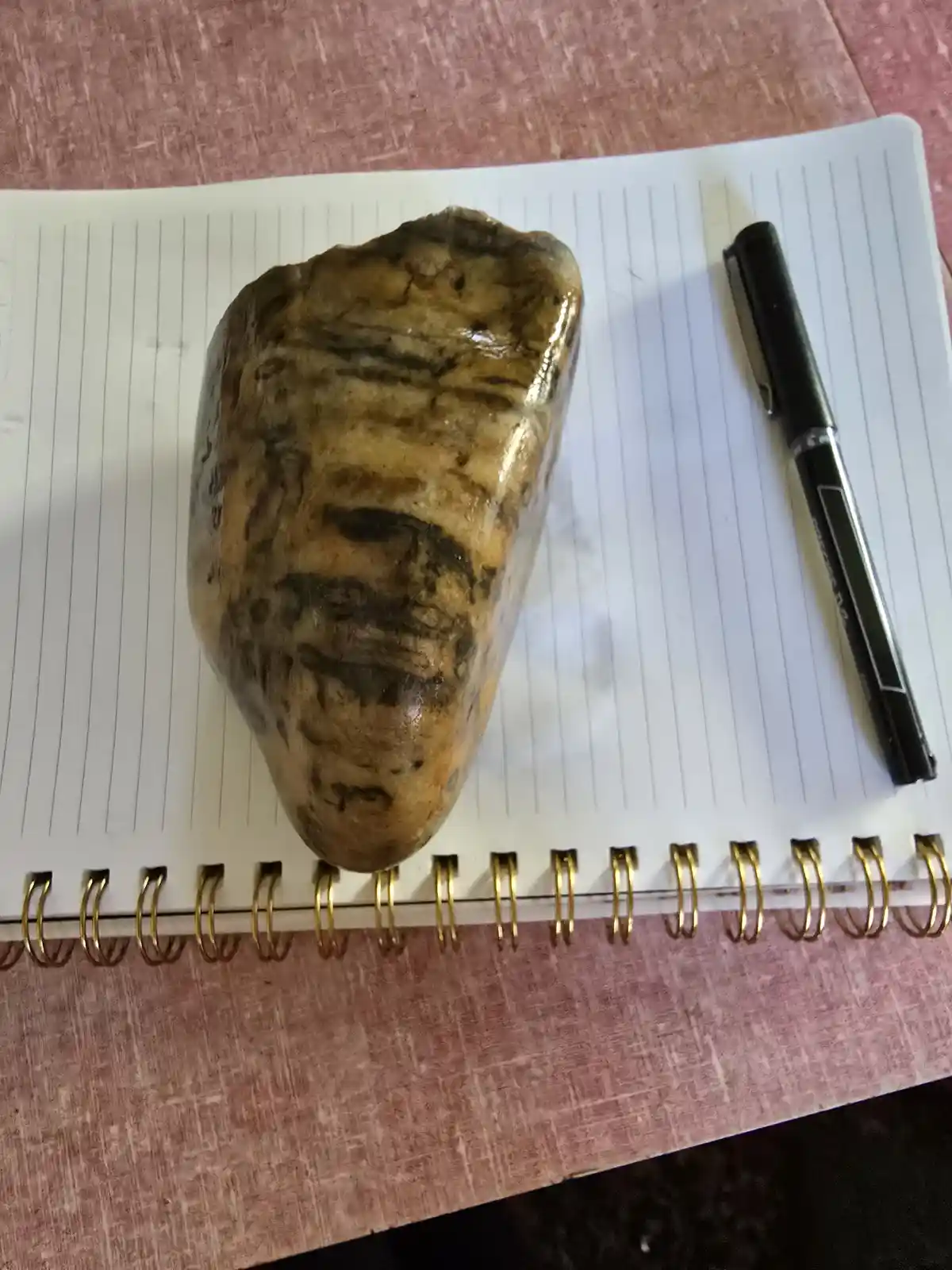 A large, irregularly shaped rock with brown and black striations sits on a lined spiral notebook, next to a black pen, on a…