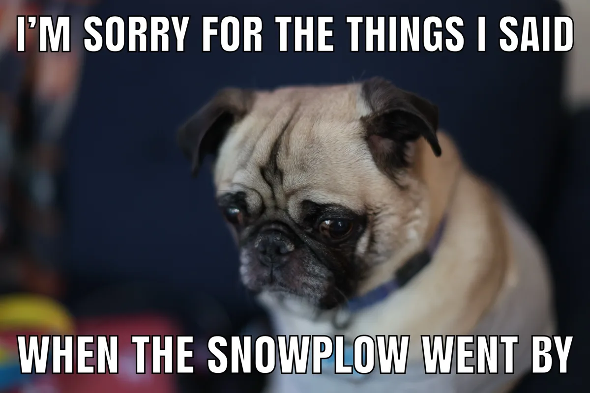 A close-up photo of a pug dog with a sad, apologetic expression, looking slightly to the side. The dog has a fawn-colored…