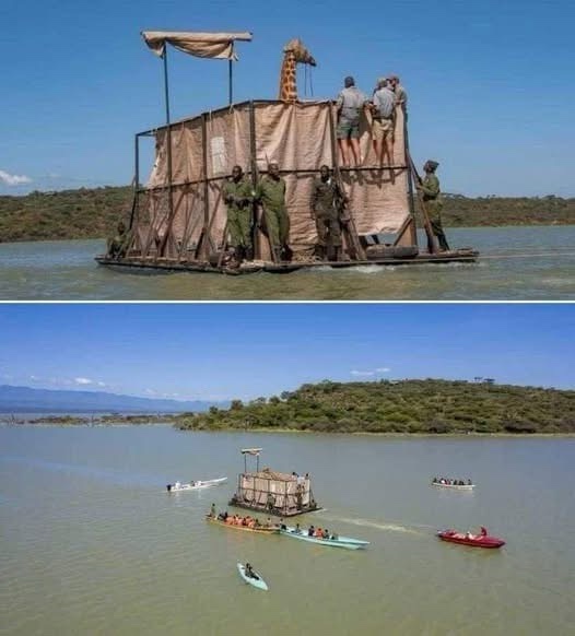 The image is a two-panel meme. The top panel shows a giraffe standing on a large, makeshift raft made of wooden planks and…