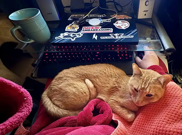 A ginger cat is curled up and sleeping on a person's lap, which is covered in a pink blanket. Behind them, a laptop with red…