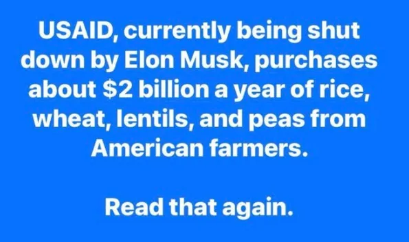 A solid blue background with white text that reads: 'USAID, currently being shut down by Elon Musk, purchases about $2…