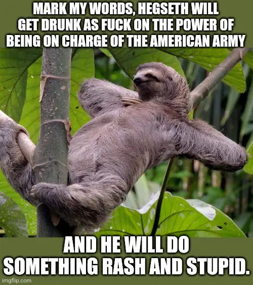 A sloth is hanging lazily from a tree branch in a lush green jungle, its body relaxed and eyes half-closed. Overlaid white…