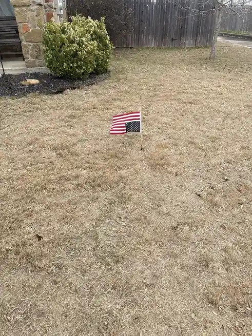 A small American flag is stuck in a dry, brown lawn in a residential yard, with a stone pillar, bush, and wooden fence…