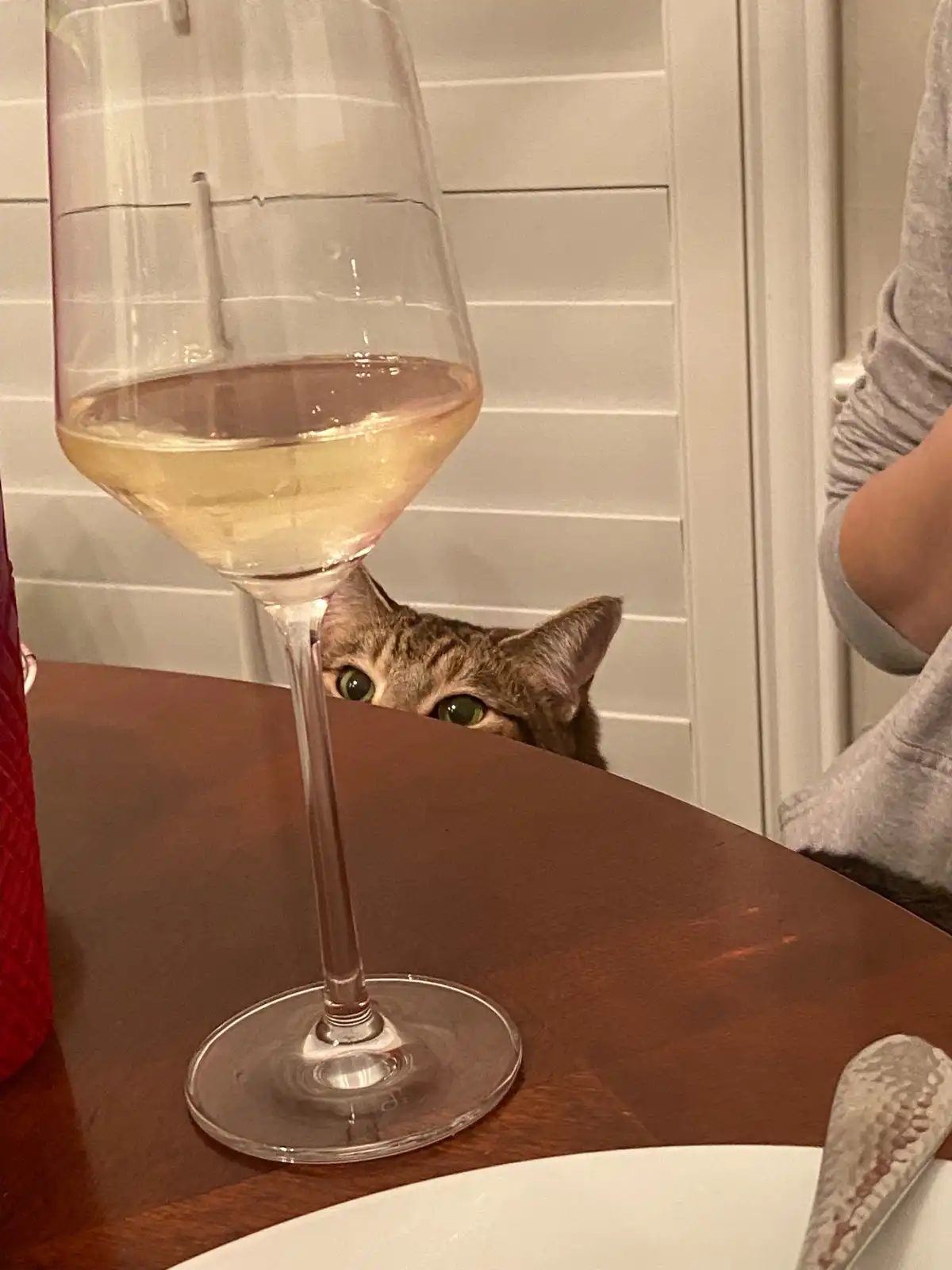She Thought She Was Being Sneaky, But Not Quite