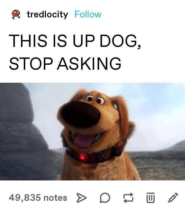 An image of the animated dog character Up Dog from the movie 'Up' with a cheerful expression, wearing a collar with a red…