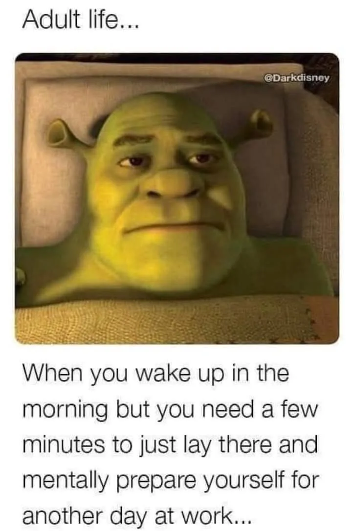 The image shows Shrek, the green ogre from the animated movie, lying in bed with a weary, resigned expression. The text…