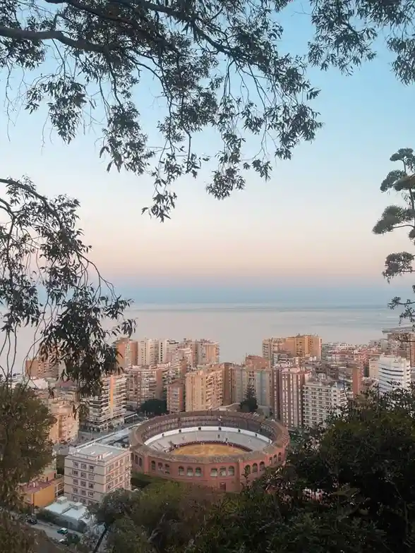 A scenic view of a cityscape at dusk, framed by tree branches, showing a prominent circular bullring in the foreground…