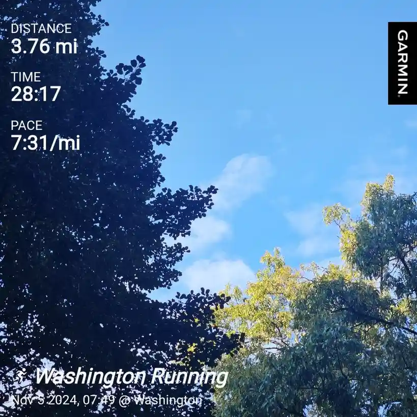 A Garmin fitness tracker screenshot overlaid on a photo of a blue sky with tree branches, showing a 3.76-mile run completed…