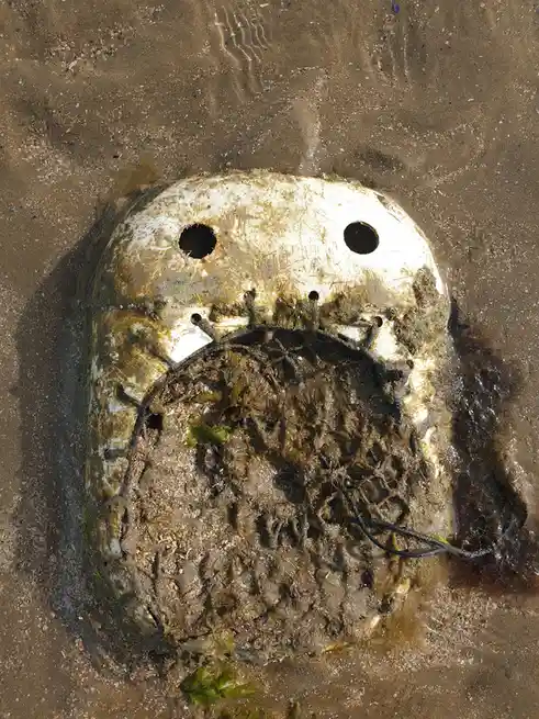 A weathered, white plastic object, resembling a discarded or broken toy or tool, lies partially buried in wet sand on a…