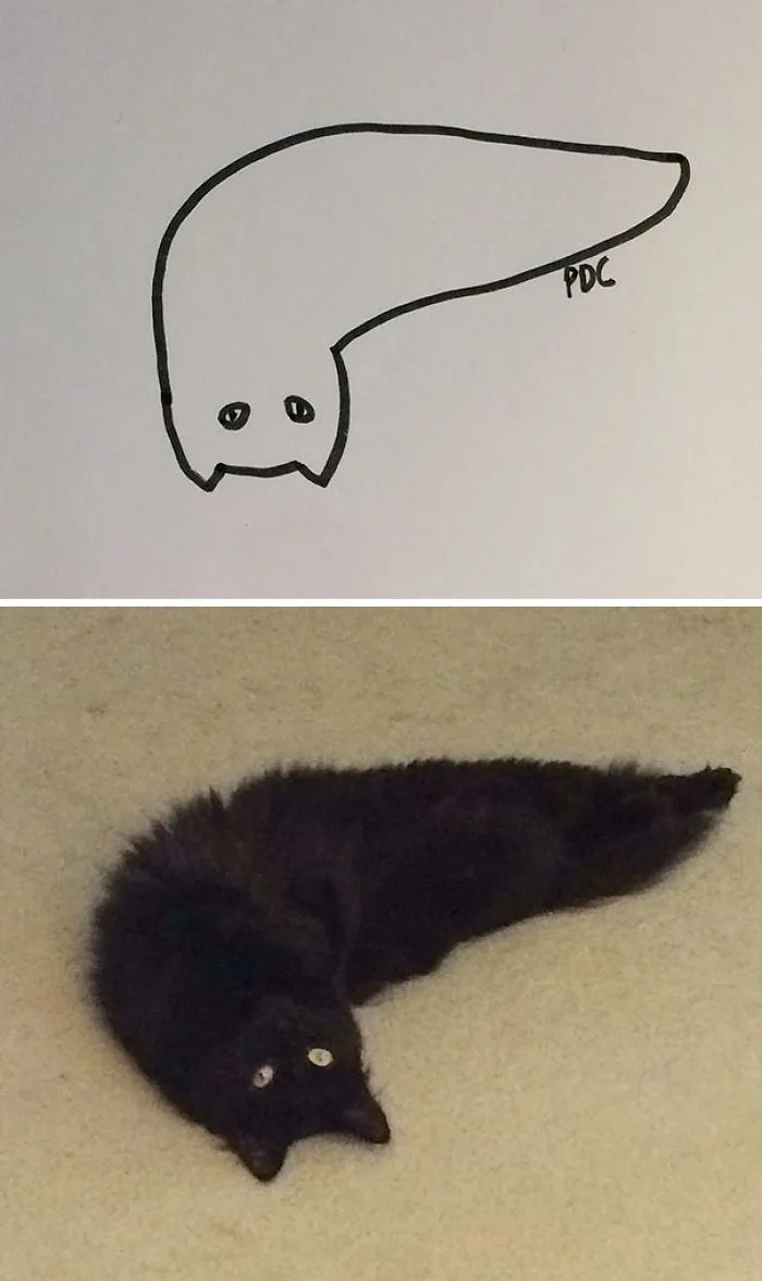 The image is split into two panels. The top panel shows a simple black outline drawing of a ghost-like figure with two eyes…