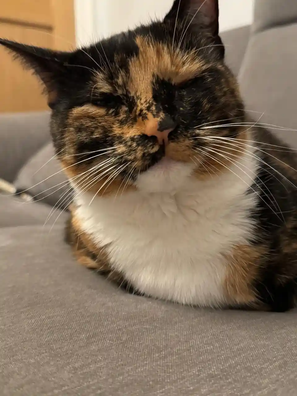 Crumble's Daily Snapshot of Adorableness
