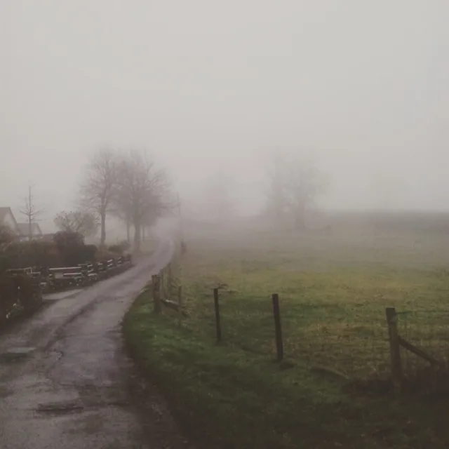 A foggy rural road curves through a mist-covered field with bare trees and wooden fences on either side. The image is…