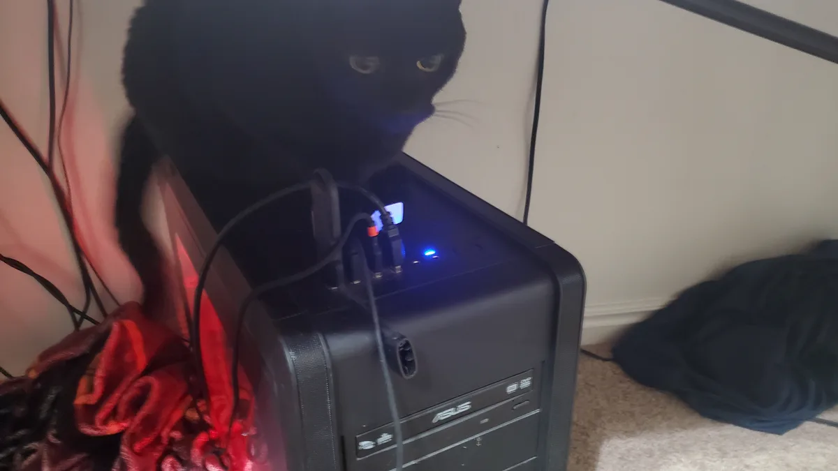A black cat sits atop a black ASUS desktop computer, looking down at the glowing blue power indicator light. Several cables…