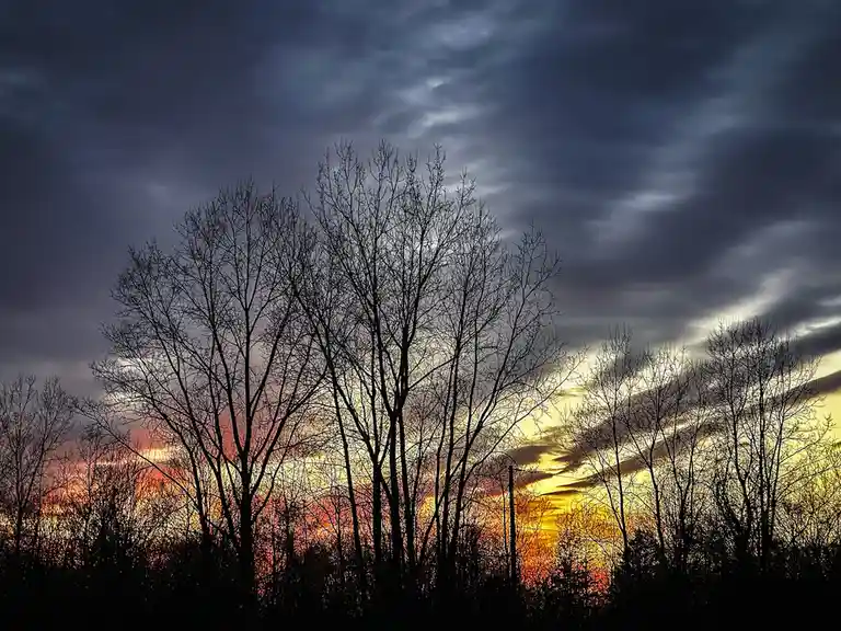 A dramatic sunset or sunrise photo showing bare tree silhouettes against a sky with dark, stormy clouds above and fiery…