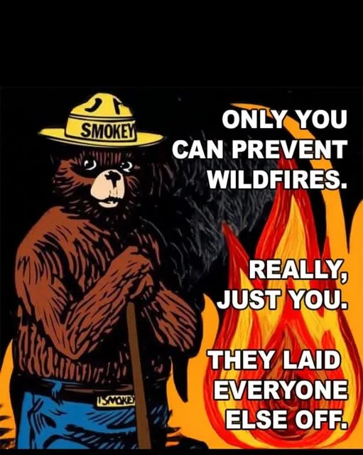 A cartoon bear wearing a yellow 'SMOKEY' hat and blue pants stands beside a large flame, holding a stick. The bear has a…