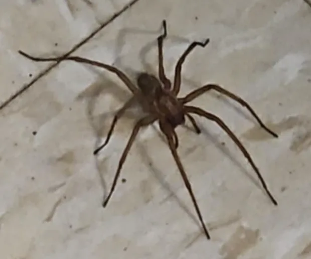 Can someone help me identify this person?