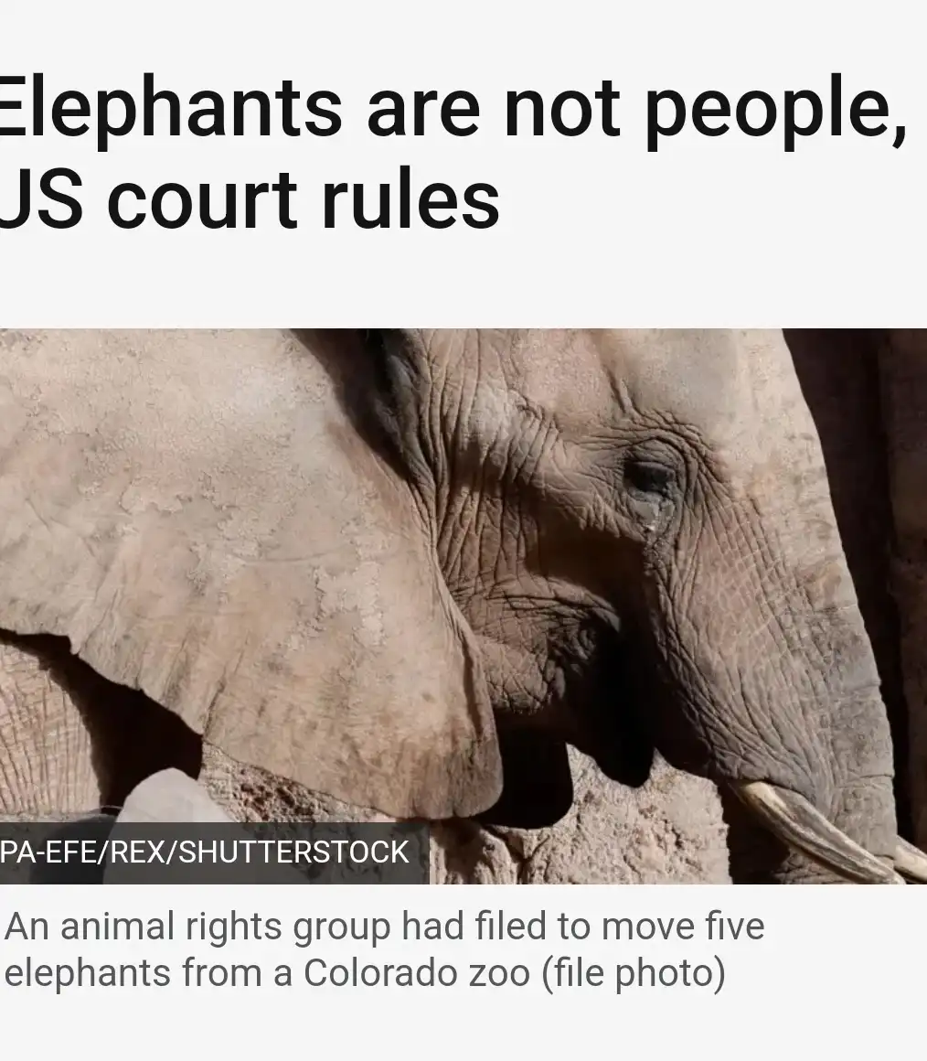 A close-up photo of an elephant's face, showing wrinkled gray skin, a large ear, and a visible tusk. Overlaid text reads…