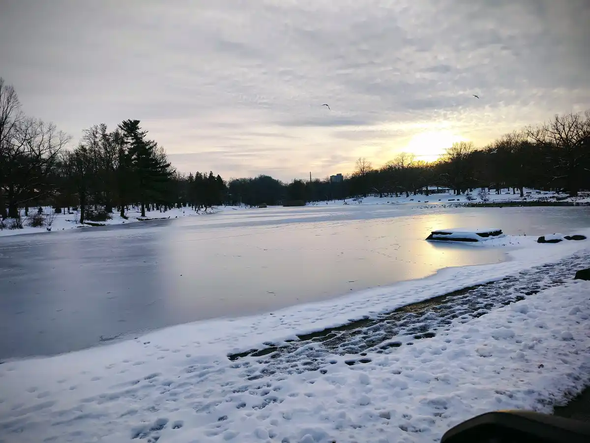 A Serene Winter Afternoon at Seneca Park