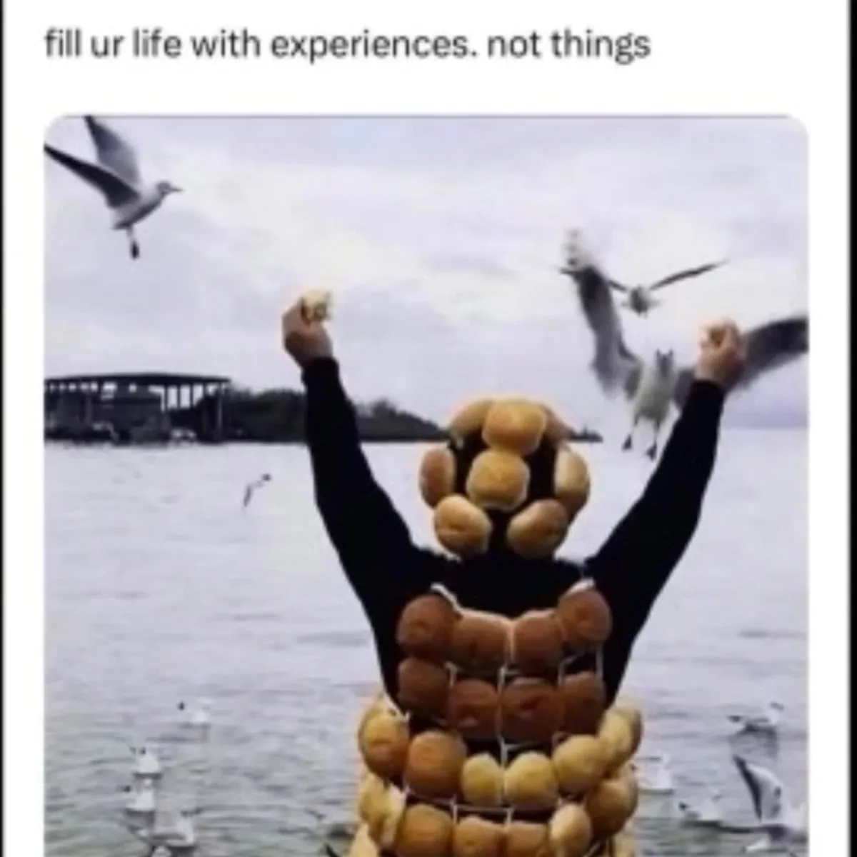 A person standing in water, covered head-to-toe in a net of donuts, arms raised as seagulls fly around them. The overlaid…
