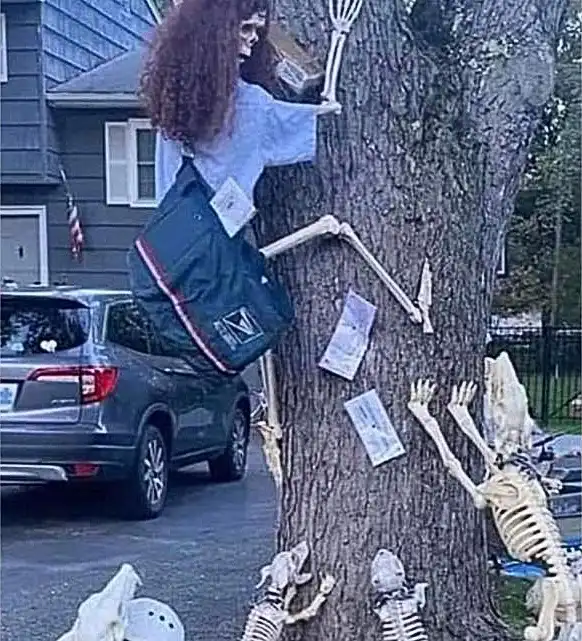 A photo shows multiple plastic skeleton decorations climbing a large tree trunk in a residential yard, with one skeleton at…