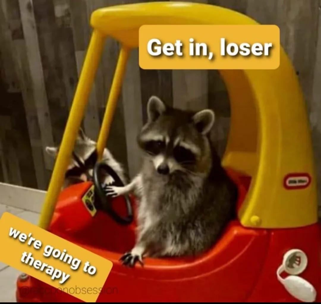 A raccoon sits in the driver's seat of a red and yellow child's toy car, looking smugly at the camera while another raccoon…