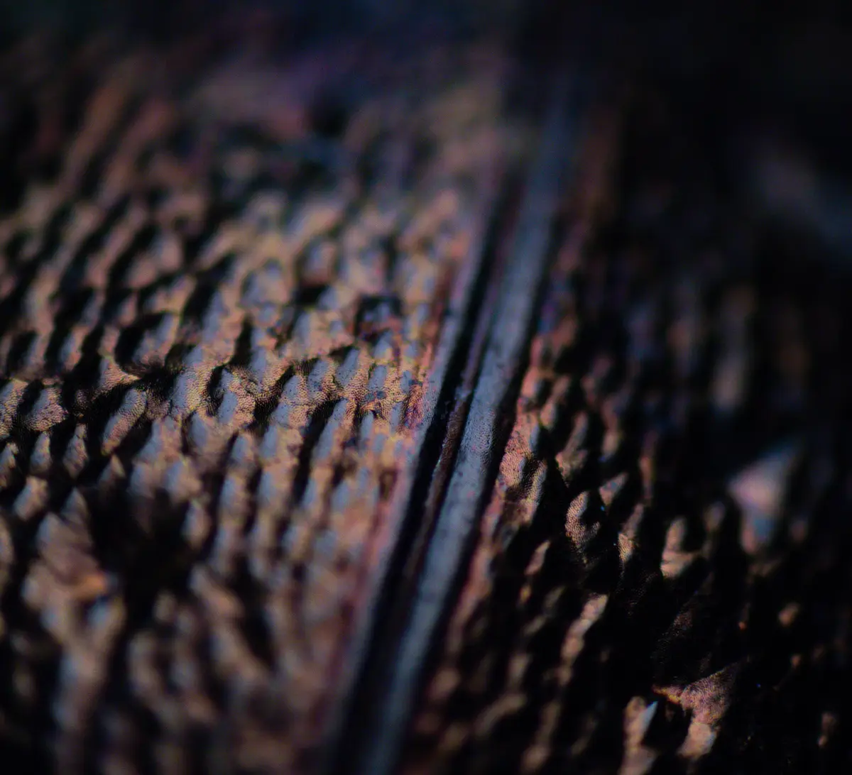 A macro photograph shows a close-up of textured, iridescent material with a dark, blurred background. The surface has a…