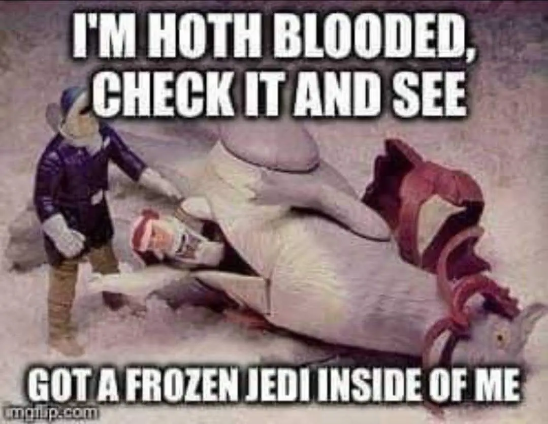 A toy figure of a snowtrooper stands over a fallen toy figure of a Jedi, who is lying on his back in a snowy scene. The…