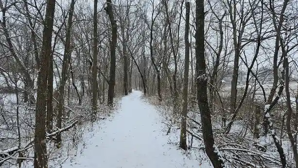 A snowy path winds through a bare winter forest with snow-dusted trees on both sides, leading into the distance under an…