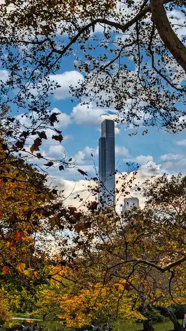 A scenic autumn park view framed by trees with orange and brown leaves, looking up at a tall, modern skyscraper against a…