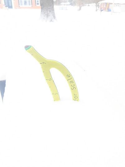 A yellow measuring tape, labeled 'scale', is partially buried in deep snow, with only its curved end and some markings…