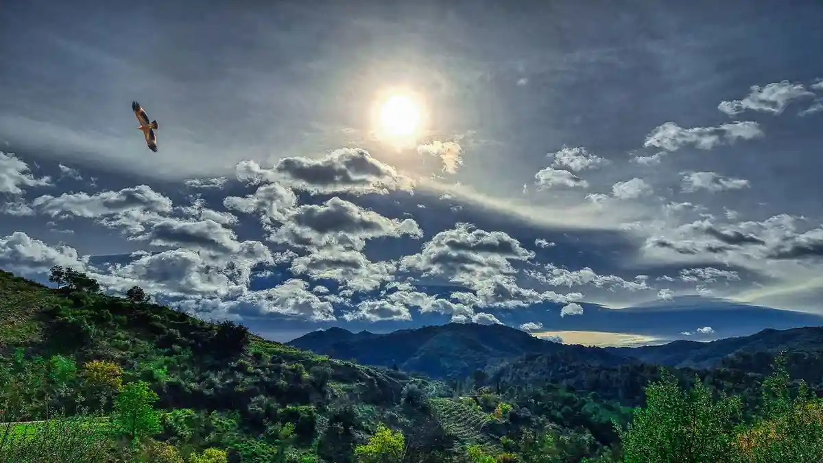 A majestic bird soars through a dramatic sky filled with clouds and a bright sun, above rolling green hills and distant…