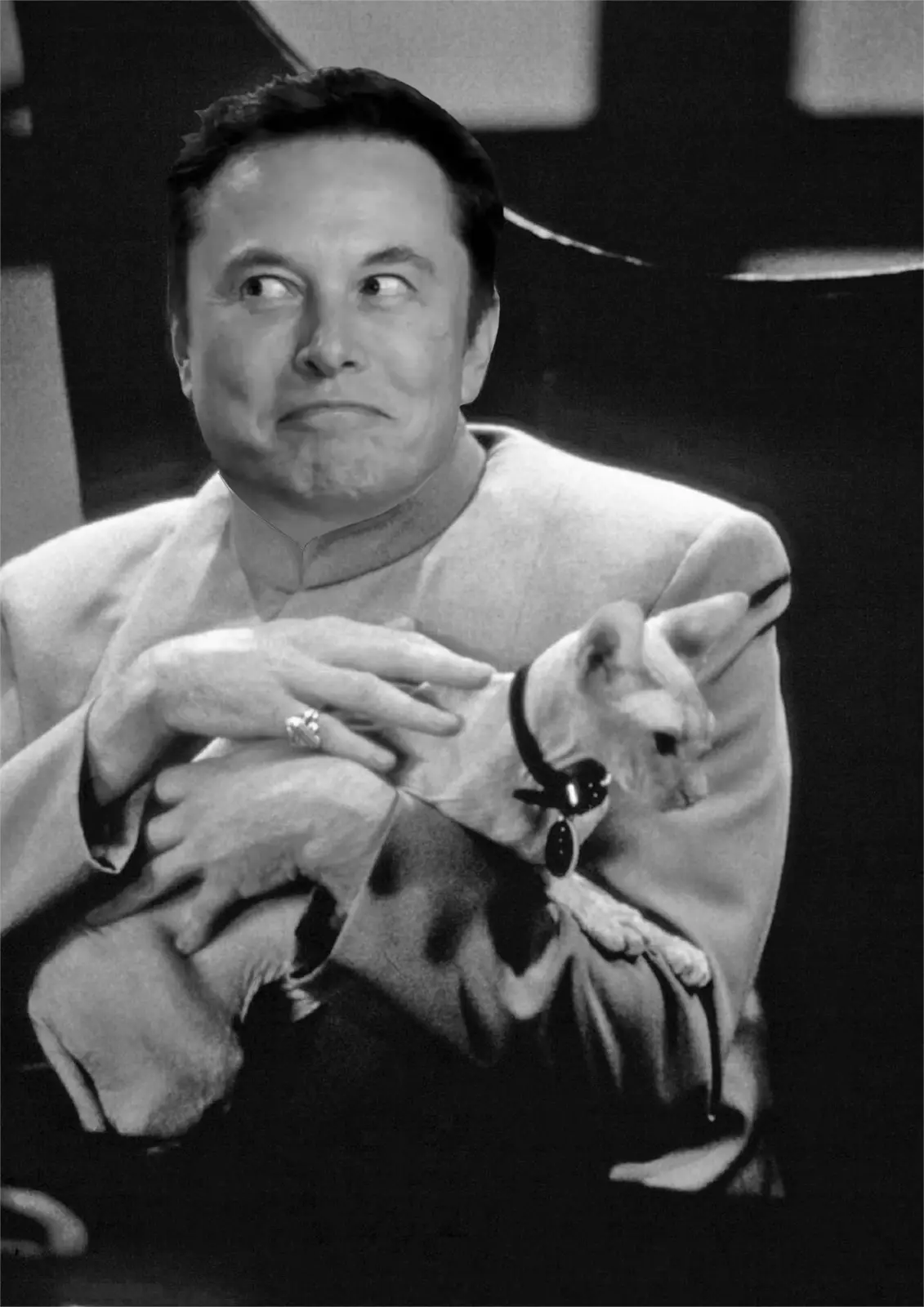 A black-and-white photo shows a man in a light-colored suit holding a hairless cat wearing a collar with a tag. The man has…