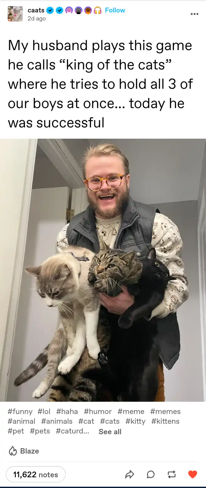 The Unrivaled King of All Cats!