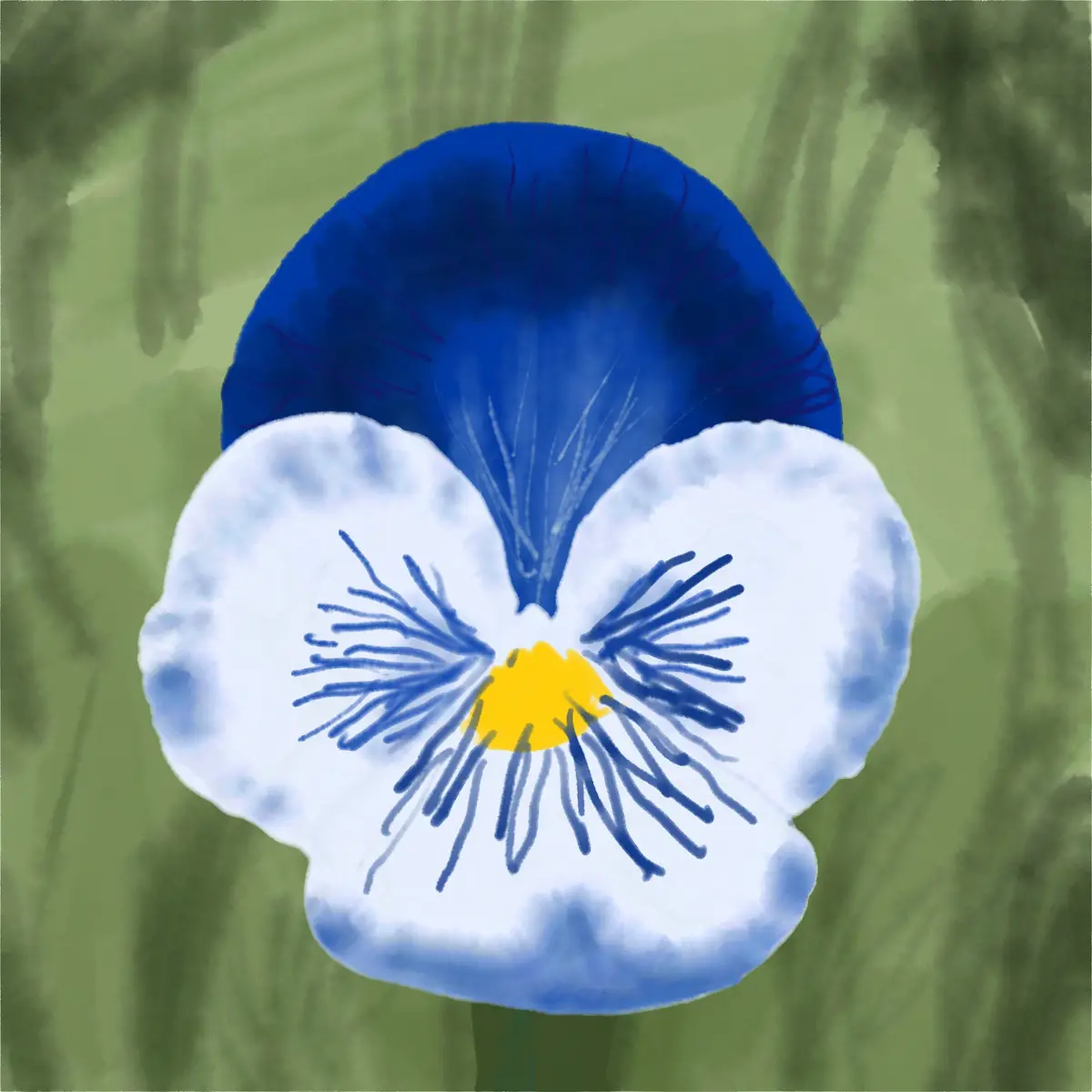 A watercolor-style illustration of a blue and white pansy flower with a yellow center, set against a blurred green…