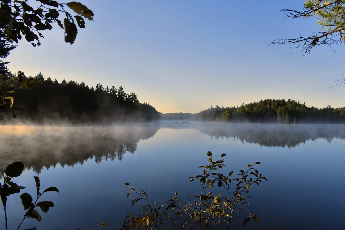 A serene, mist-covered lake at dawn with calm water reflecting the forested shoreline and clear blue sky, framed by tree…