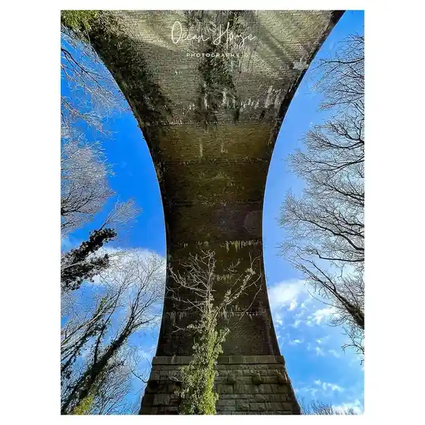 A low-angle photograph looking up at a large, moss-covered brick arch bridge against a bright blue sky with scattered…