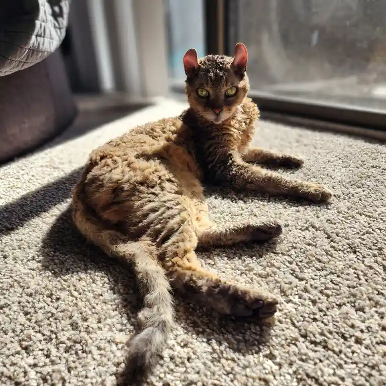 He Knows He's Gorgeous and He's Not Afraid to Show It