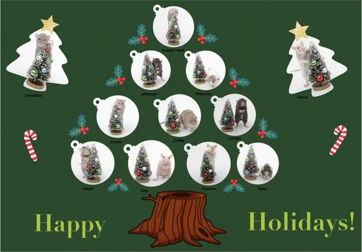A festive green background features a Christmas tree on the left with a rat inside, a tree on the right with a rat inside…