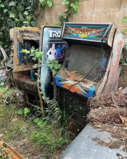Three abandoned arcade machines, including 'Robotron: 2084' and 'TRO', are overgrown with ivy and grass, sitting in a…