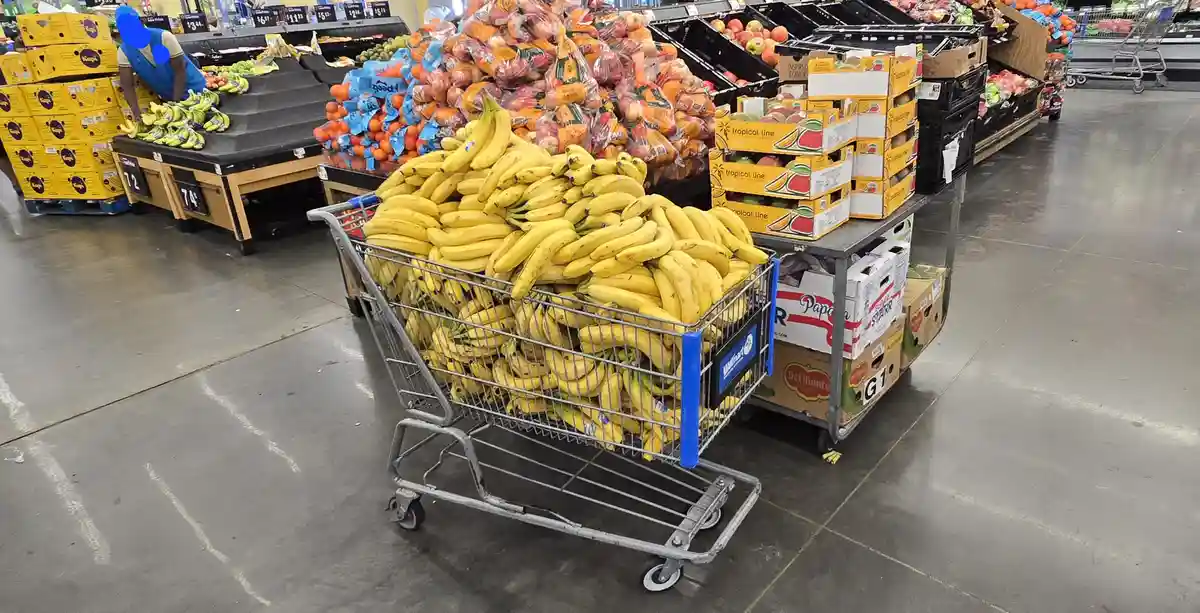 A Walmart shopping cart overflowing with yellow bananas sits in the produce aisle, surrounded by other fruit displays and…