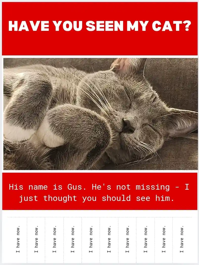 A gray cat is sleeping peacefully on a couch, its paws curled up near its face. The image is framed with red banners: the…
