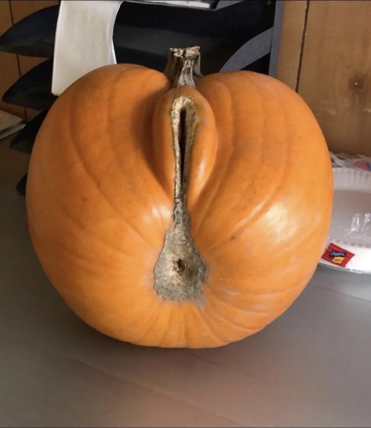 A close-up photo shows an orange pumpkin with a natural, deep groove running down its center, resembling a human genitalia…
