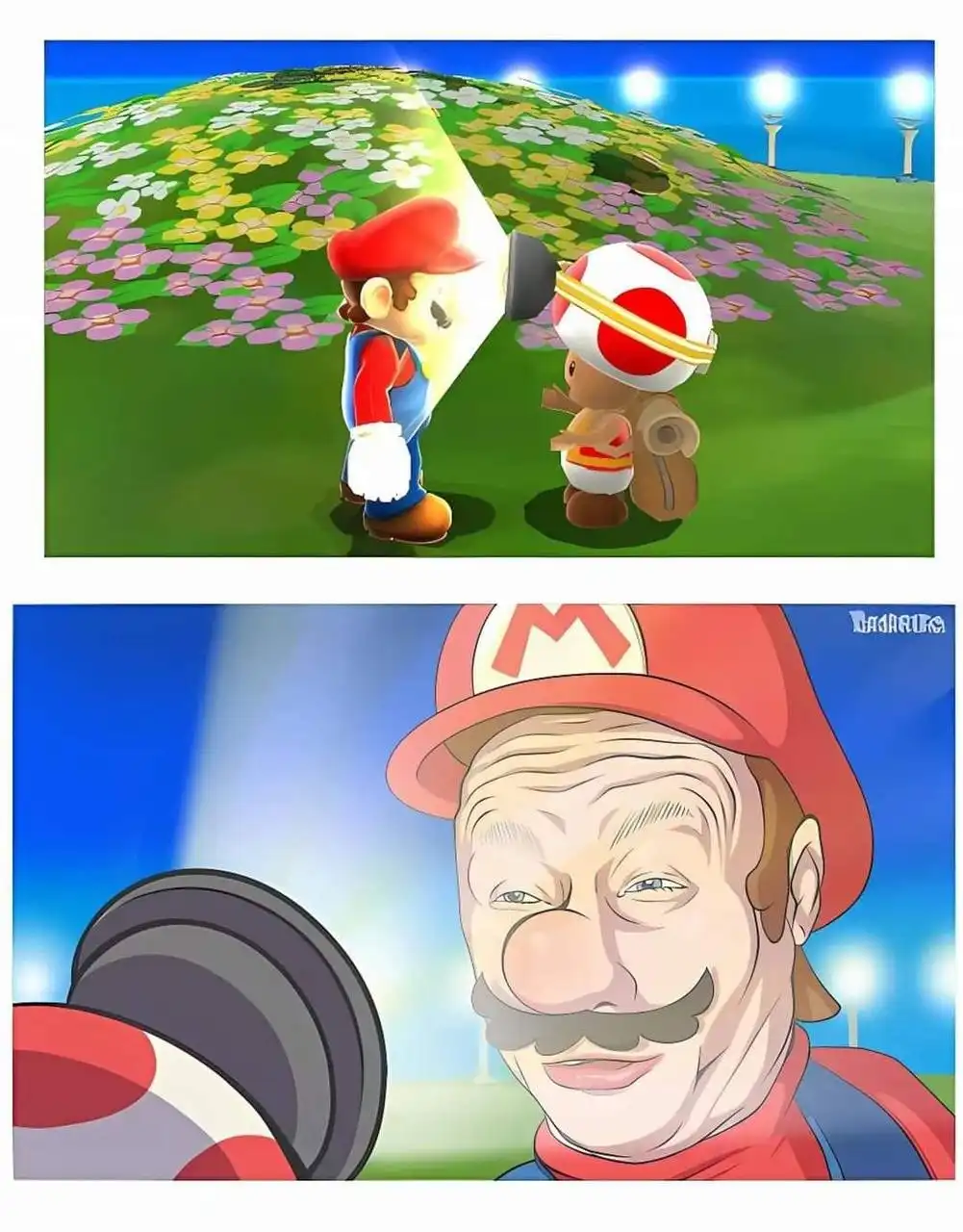 The top panel shows Mario holding a megaphone to his mouth while facing Toad in a field of flowers under stadium lights. The…
